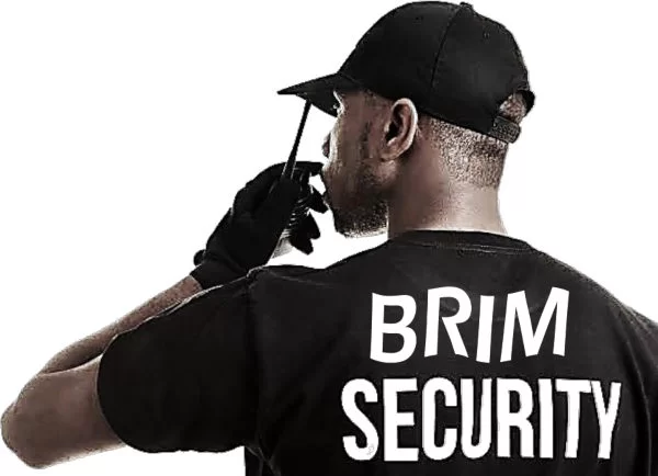 Brim Security Brim Security